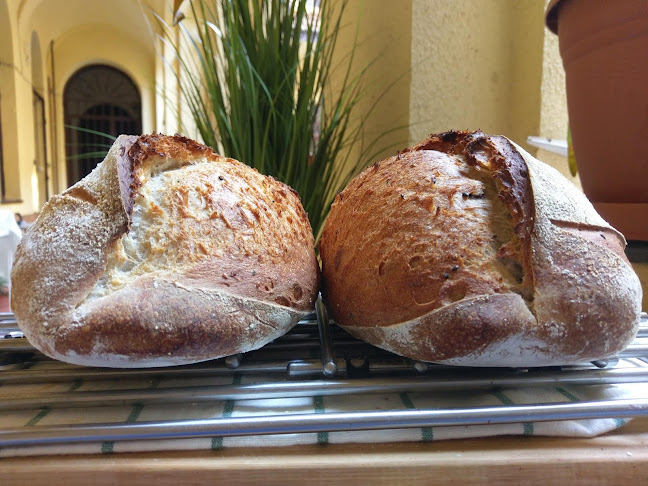 Doktor & Pék pékség