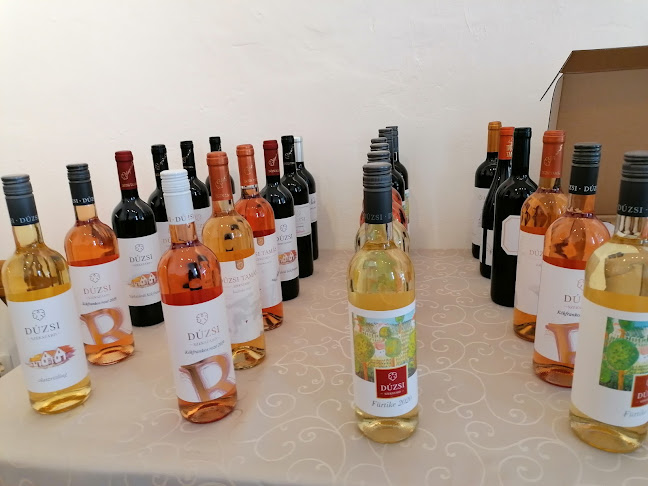 Comentarii opinii despre DÚZSI PÉCS