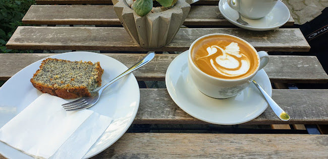 Comentarii opinii despre Manetti Coffee Pest