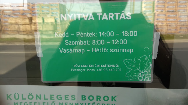 Comentarii opinii despre Pécsinger Borforrás