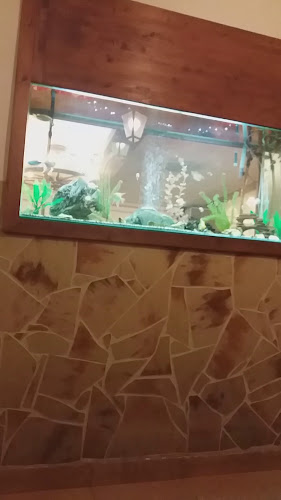 Dunagyöngye Halászcsárda