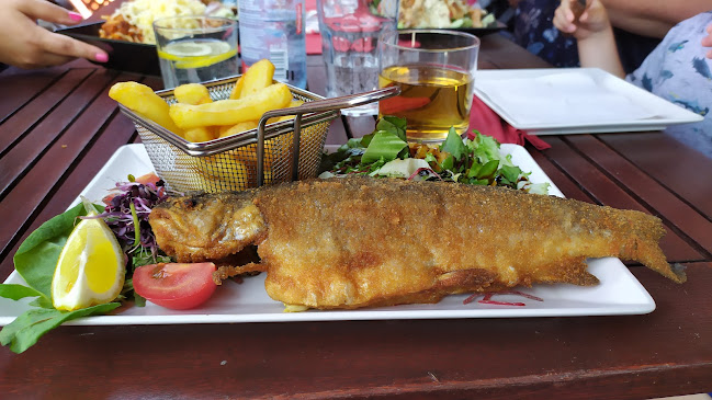 Visegrád Kisoroszi révkikötő, 2025