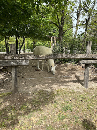 Comentarii opinii despre Pizza Pasta