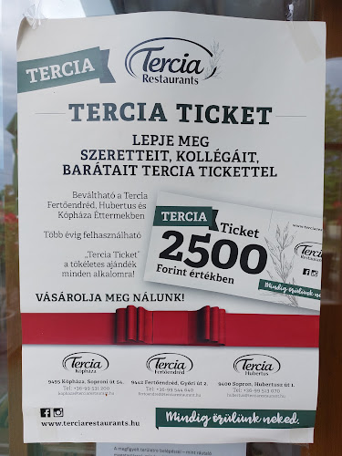 Comentarii opinii despre Tercia Fertőendréd