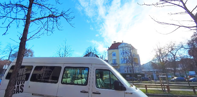 Comentarii opinii despre A Platán - Étterem és Terasz a Városligetnél