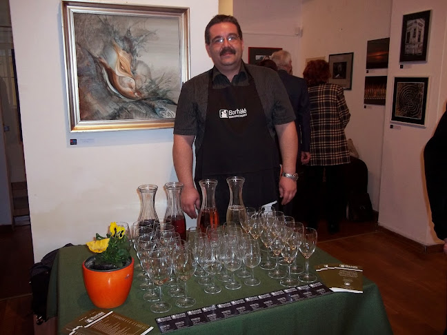 Comentarii opinii despre Borháló Vác