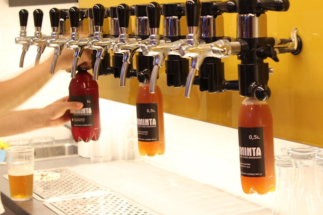 Comentarii opinii despre Sörminta