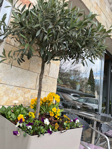 Comentarii opinii despre Kemenes Cukrászda és Pékség Madárhegy