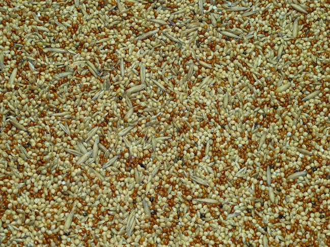 Mag-Mix - Albertirsa