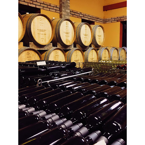 Podmaniczky Pince és Szőlőbirtok