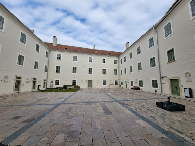 Strauss kávézó - Vendéglátás