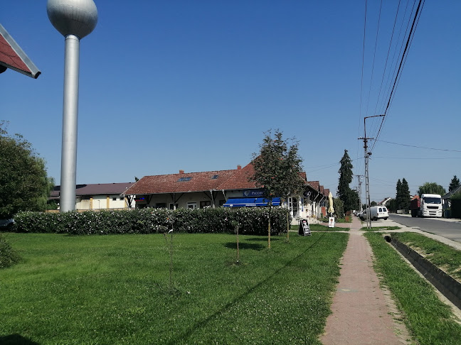 Piccoló söröző - Vendéglátás