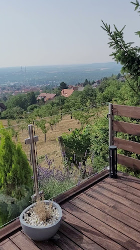 Comentarii opinii despre Bagolyvár