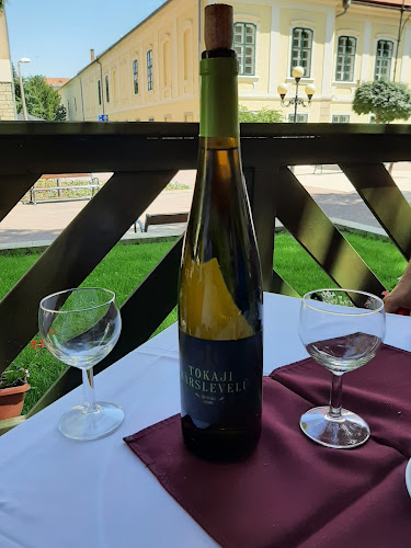 Comentarii opinii despre Halászcsárda