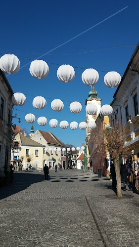 Szentendre, Dumtsa Jenő u. 8, 2000