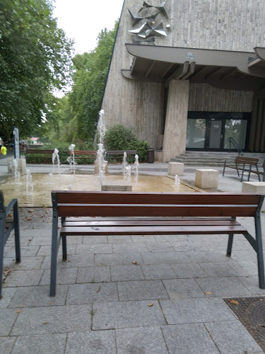 Comentarii opinii despre Rózsakert Étterem és Fagyizó