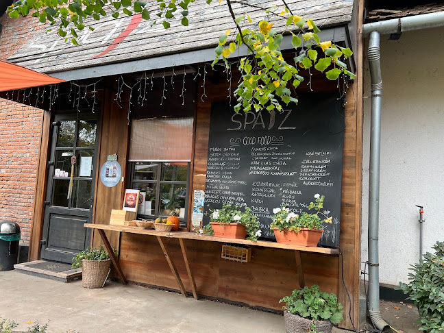 Pallag Spájz - Debrecen