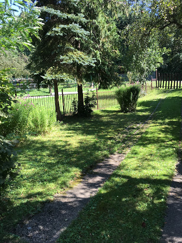 Forrás büfé - Vendéglátás