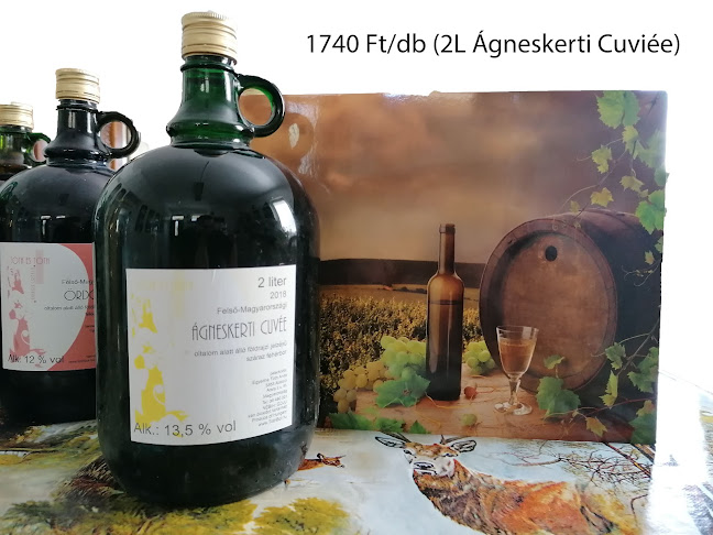 Comentarii opinii despre Dmakx termelői borok italkereskedés