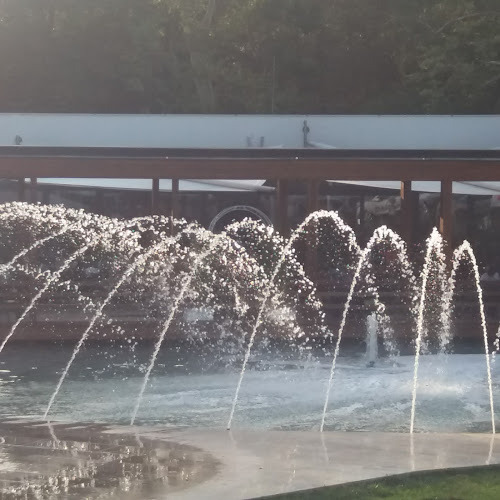 Comentarii opinii despre Platán