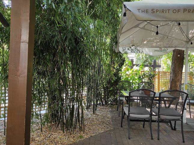 Opinii despre Gusto Étterem în Gyula - Vendéglátás