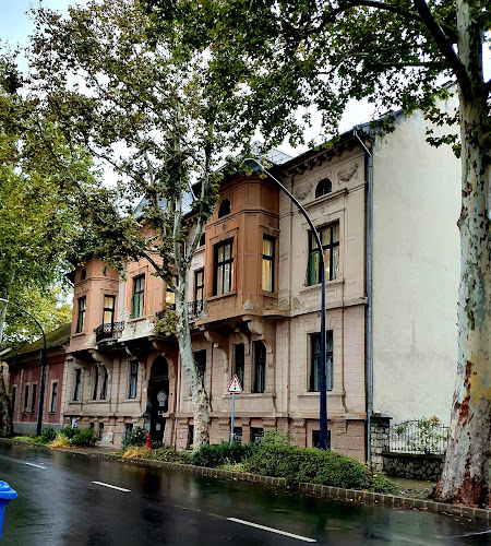 Comentarii opinii despre Hek étterem