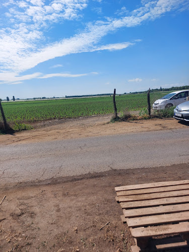 Comentarii opinii despre Faddi Szamóca