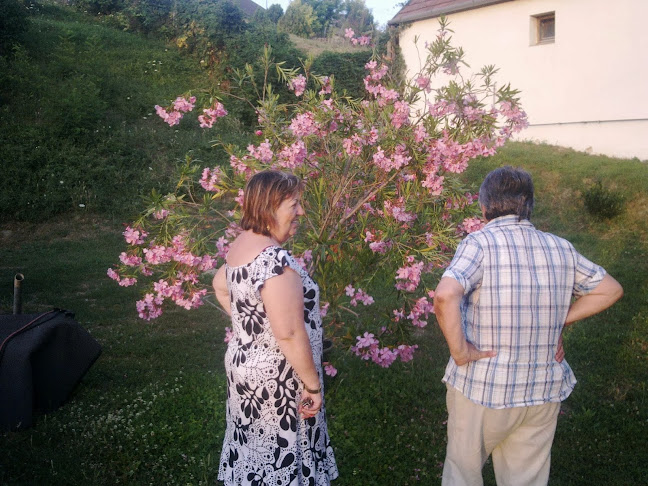 Comentarii opinii despre Söröző Óbarok