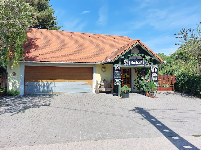 Comentarii opinii despre Borháló Budakeszi