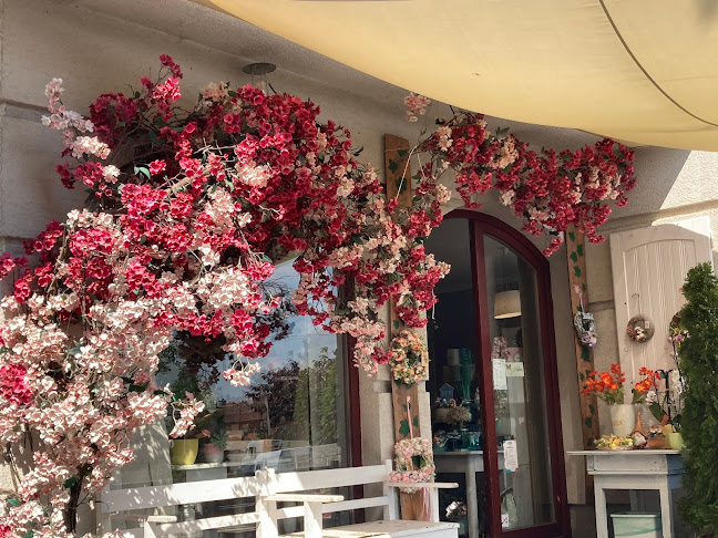 Comentarii opinii despre Borostyán Virágház és Kávézó