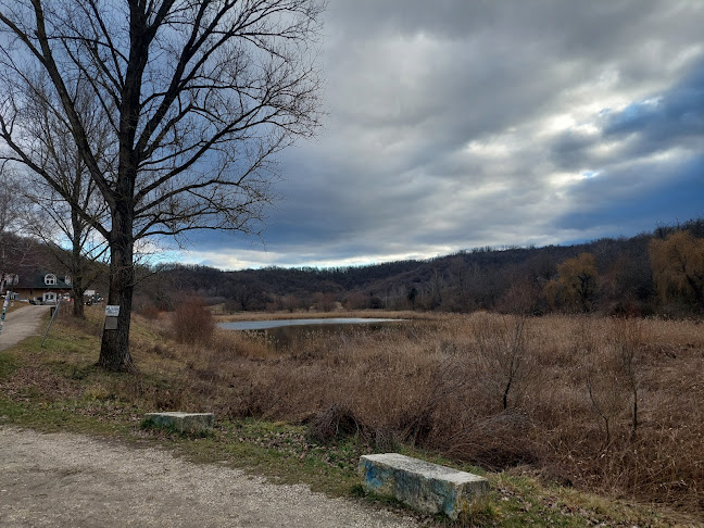 Üvegtigris, a büfé - Vendéglátás