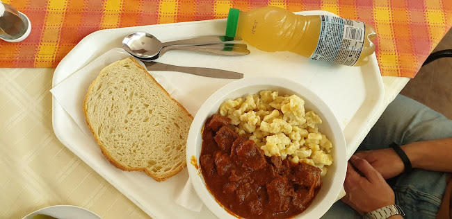 Vándorsólyom kFT - Vendéglátás