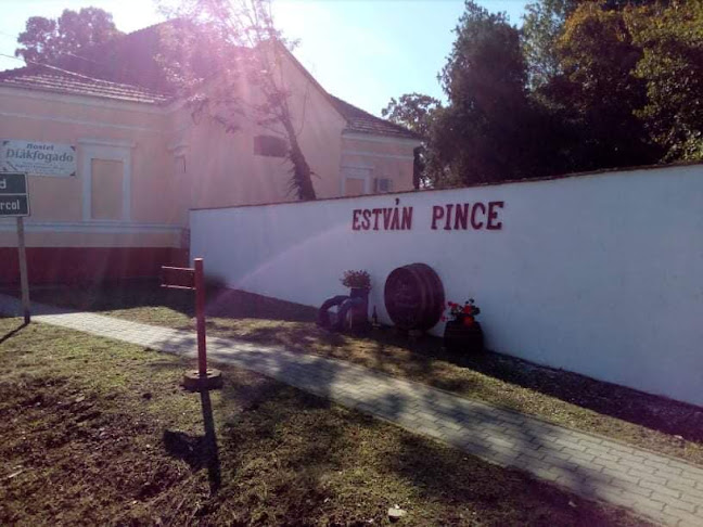 Opinii despre Estván Pince în Szügy - Vendéglátás