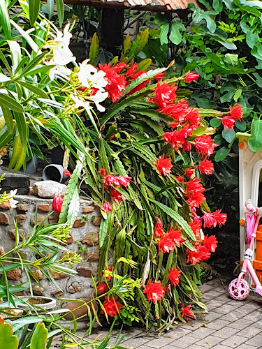 Korzó Kávézó - Vendéglátás