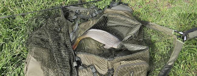 Opinii despre Sapi Horgásztó în Doboz - Vendéglátás