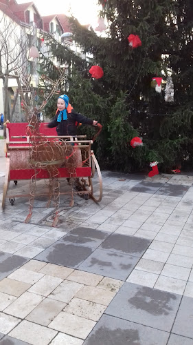 Opinii despre McDonald's în Zalaegerszeg - Vendéglátás