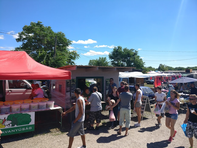 Hatvan, Csányi út 74, 3000