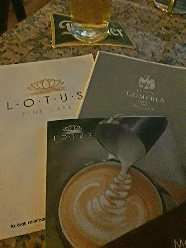 LOTUS cafe & wine lounge