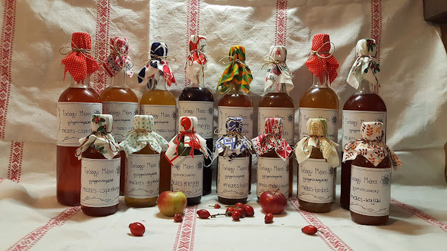 Torbágyi Mézes Gyógynövény és Gyümölcsszörpök