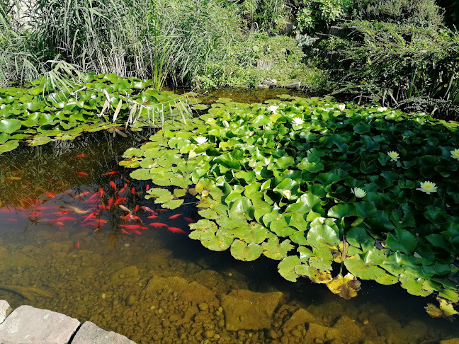 Hámori Étterem - Tolna
