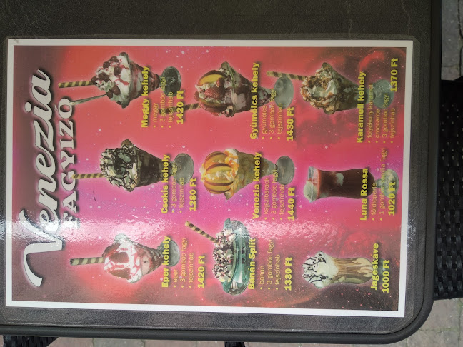 Venezia Fagylaltozó