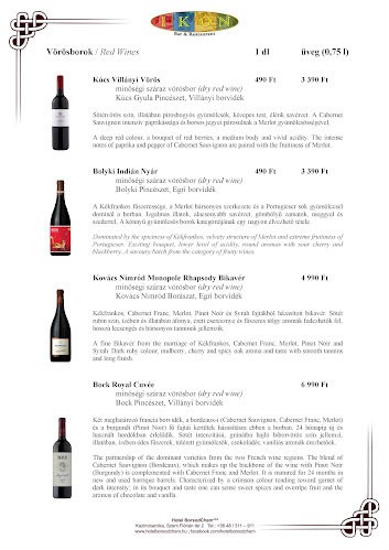 Hotel BorsodChem és IKON Bar & Restaurant