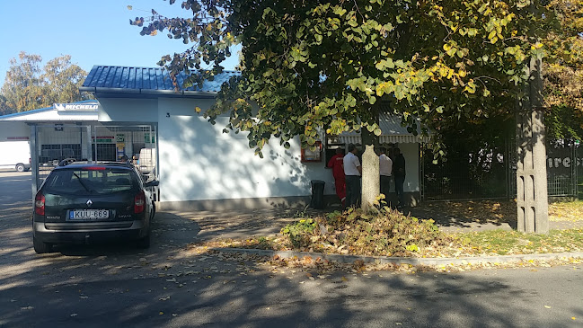 Comentarii opinii despre Pecsenyesütő