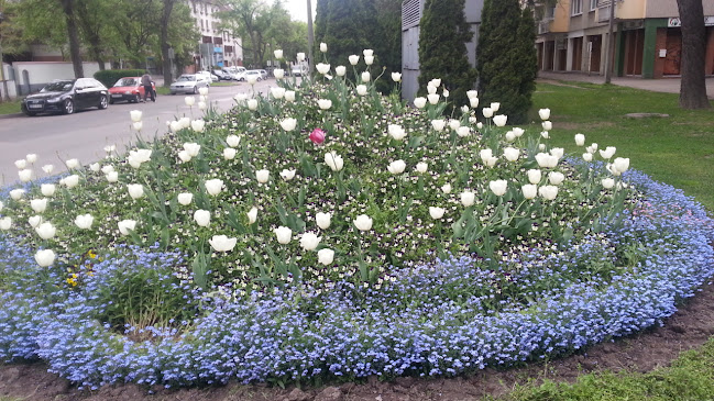 Comentarii opinii despre Black Eight biliárd terem és söröző