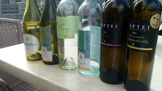 Csopak, Istenfia u. 5, 8229