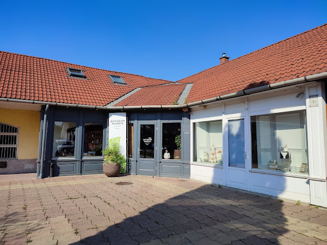 Comentarii opinii despre Anyukám Mondta