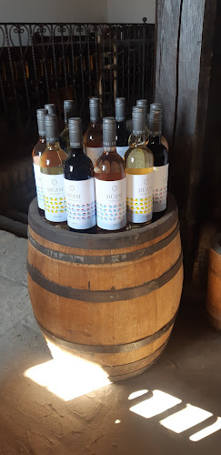 Comentarii opinii despre Dúzsi Tamás Pincéje