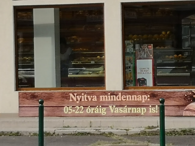 Comentarii opinii despre Rina Pékség