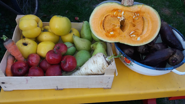 Torbágyi Mézes Gyógynövény és Gyümölcsszörpök - Vendéglátás