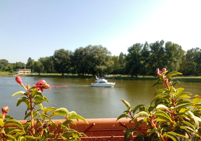 Kagyló Café - Vendéglátás